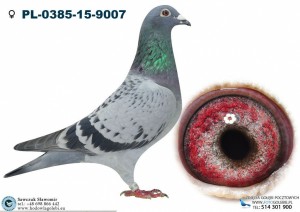 CÓRKA 7230
