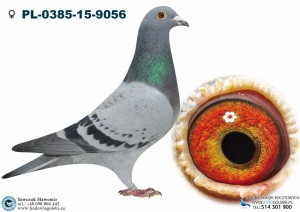 CÓRKA 7230