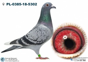Matka 5502 1Asa Okregu w kat F
