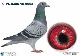 CÓRKA 7230 