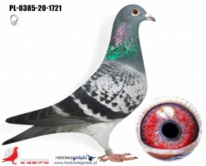 HOUBEN