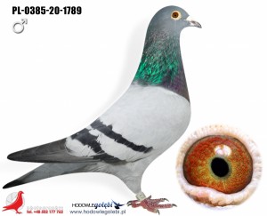 HOUBEN