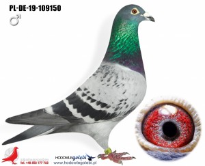 HOUBEN