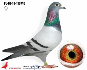 HOUBEN